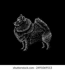 japanese spitz hand drawing vector isolated on black background.