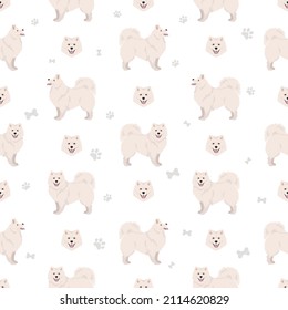 Japanese spitz seamless pattern. Different poses, coat colors set.  Vector illustration