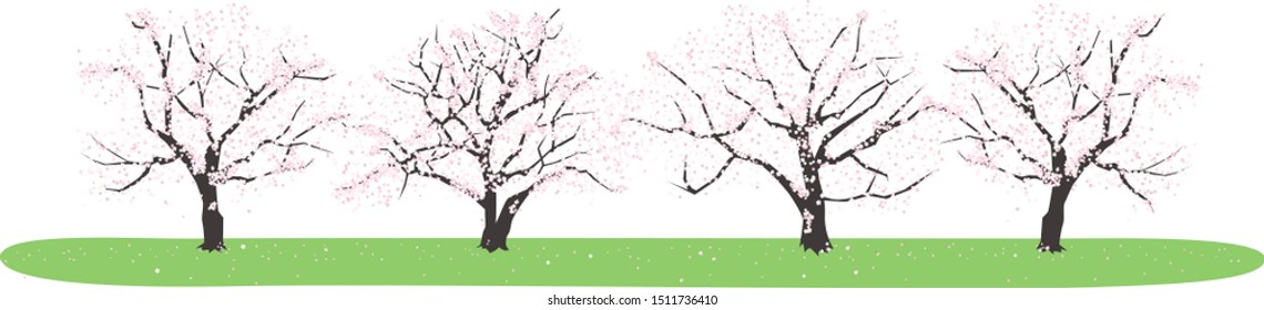 桜並木 のイラスト素材 画像 ベクター画像 Shutterstock