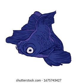 Japanese Style Blue Moor Goldfish vector art