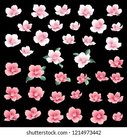 Japanese style cherry blossom illustration