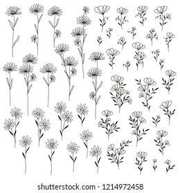Japanese style cherry blossom pattern