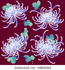 Japanese style Chrysanthemum 