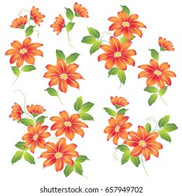 Japanese style Clematis,