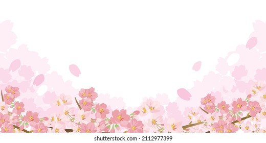 Japanese style fluffy cherry blossom illustration background