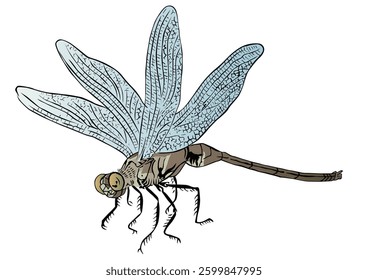 Japanese style flying dragonfly facing left