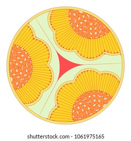 japanese style graphic circle pattern with sunflowers in yellow shades