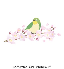 Japanese style illustration of wild birds and cherry blossoms.