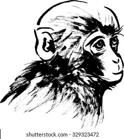 Japanese style illustrations of Monkey