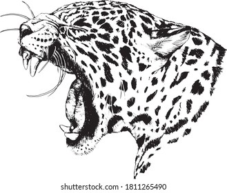  Impresión gráfica de leopardo al estilo japonés, diseño de moda para camisetas. 