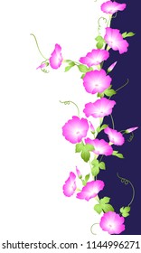 Japanese style morning glory pattern,
Design of a Japanese style morning glory,
This painting continues repeatedly,

