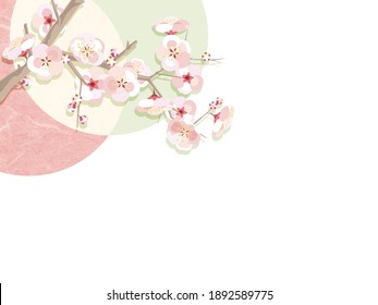 Japanese style plum blossom illustration