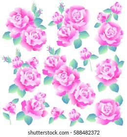 Japanese style rose