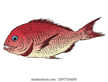 Japanese style sea bream facing left