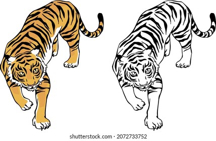 Japanese style tiger for New Year's card