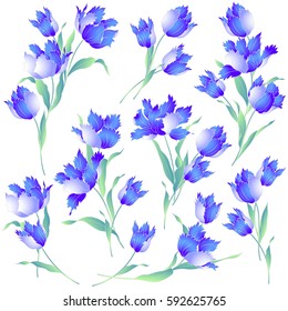 Japanese style tulip