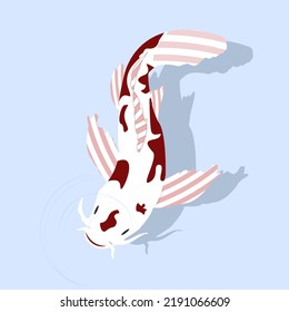 Japanese stylized koi carp. White Red fish. Sea creature.