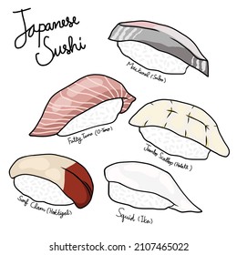 Japanese sushi vector drawing illustration