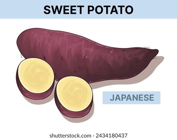 Batata japonesa. Ilustración vectorial aislada en blanco. 