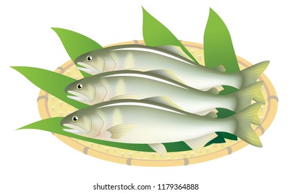 Japanese sweetfish on a bamboo basket, isolated on the white background.