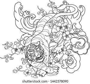 Japanese tiger with sakura flower and water splash tattoo.Illustration design tiger and cherry peach flower art vector.