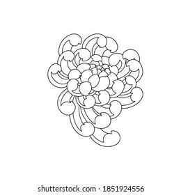Japanese traditional chrysanthemums vector ilustration