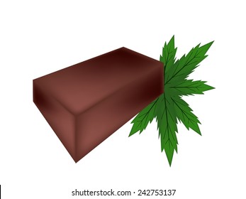 Japanese Traditional Dessert, YOKAN or Bar of Sweet Jelly Made of Red Bean Paste, Agar and Sugar Isolated on White Background. 