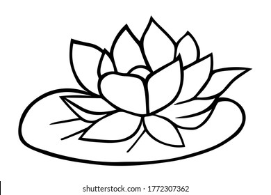 15,202 Lily doodle Images, Stock Photos & Vectors | Shutterstock