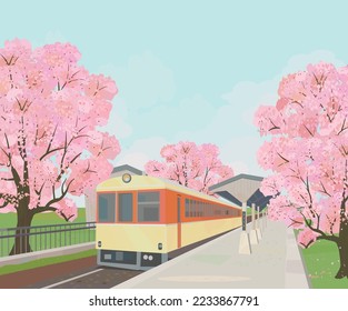 Japanese train station in spring. Cherry blossom.