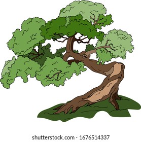 Japanese tree, bonsai cut out on a white background. Fairytale ink hand-drawn tree in cartoon style. Vector illustration for tree day.