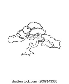 Árbol japonés, bonsai, arte de una línea. Dibujo continuo de plantas, árboles, madera, flora, árboles caducifolios, árboles africanos, baobab, paraguas de acacia, sabana.