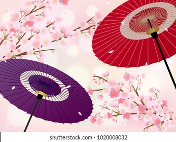 Japanese umbrella and cherry blossoms scenery.