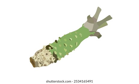 Ilustração vetorial de wasabi japonês. rábano-silvestre. wasabi raiz para comida japonesa. 