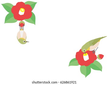 Japanese white eye and Camellia flower