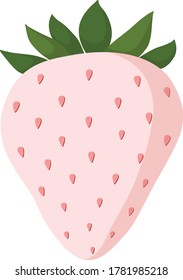 Japanese white pink strawberry fruit