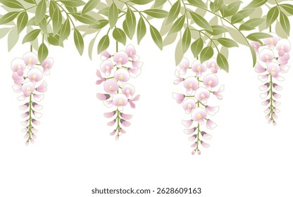 Japanese Wisteria Flowers Hanging – Traditional Floral Vector Design