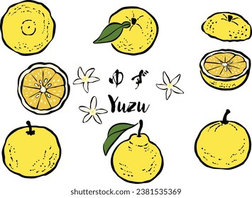 Japanese-style Brush Stroke Citrus Fruit - Yuzu