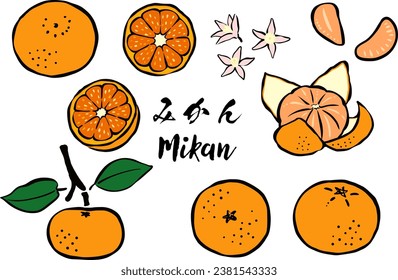 Japanese-style Brush Stroke Citrus Fruit - Mikan