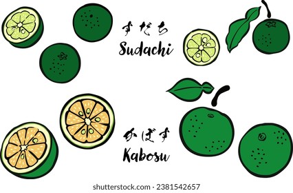 Japanese-style Brush Stroke Citrus Fruits - Sudachi and Kabosu