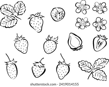 Japanese-style brushstroke strawberry line drawing illustration
