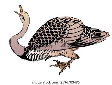 
Japanese-style duck seen from the side