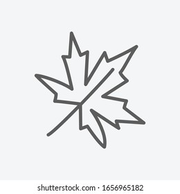 Japans leaf icon line symbol. Isolated vector illustration of icon sign concept for your web site mobile app logo UI design.