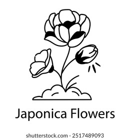 Japonica flowers icon in sketchy style 