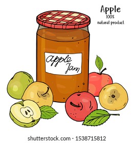 Jar of Apple jam and fresh ripe apples of different colors. Colorful vector illustration in sketch style on white background. Hand-drawn.
