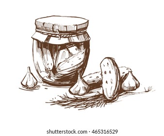 Jar of canned cucumbers. Sketch. Vector illustration