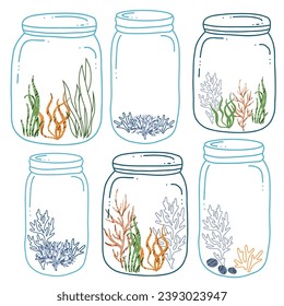 jar with fish and algae vector icon.