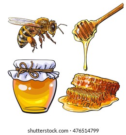 Jar of honey, bee, dipper and honeycomb, sketch style vector illustration isolated on white background. Jar, honey comb, bumble bee and wooden dipper. Honey making symbols, apiary icons