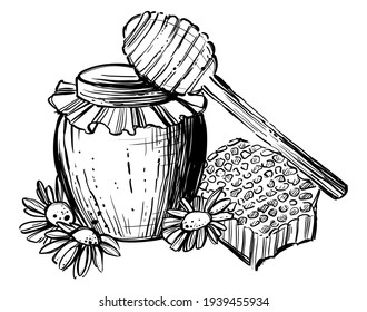 Jar Of Honey, Chamomiles And Honeycomb, Hand Drawn Sketch, Vector