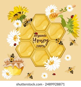 Jar of honey, honeycomb, with honey spoon, with chamomiles, sunflowers, ladybugs and bees. Postcard for shop or bakery. Vector illustration.