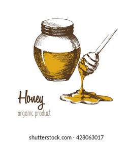 Jar of honey and spoon for honey on a white background. Drawing by hand. Sketch. The organic product. Vector